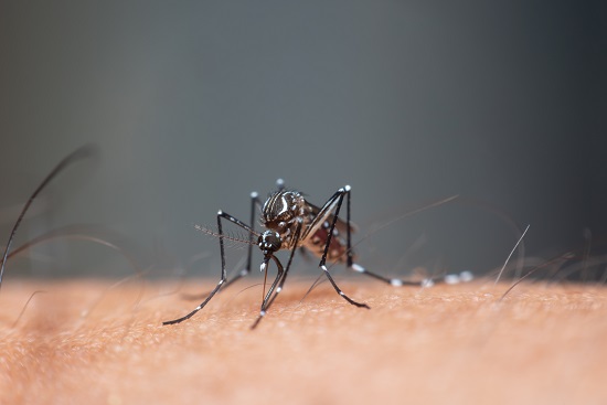 Morte por suspeita de dengue é investigada em Aracaju 