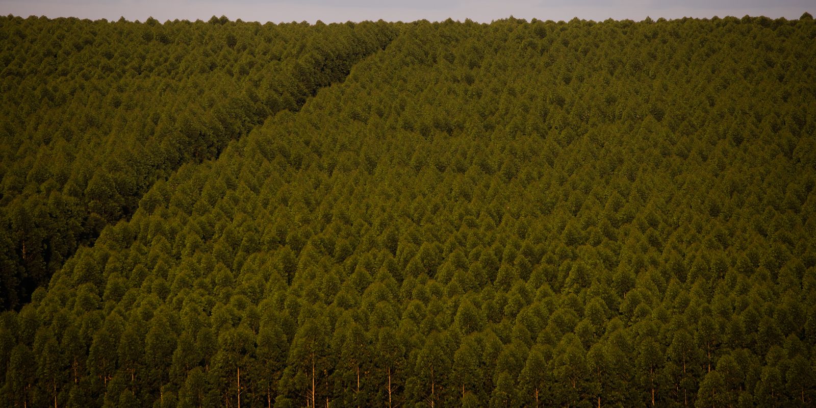 Foto: Agência Brasil - EBC