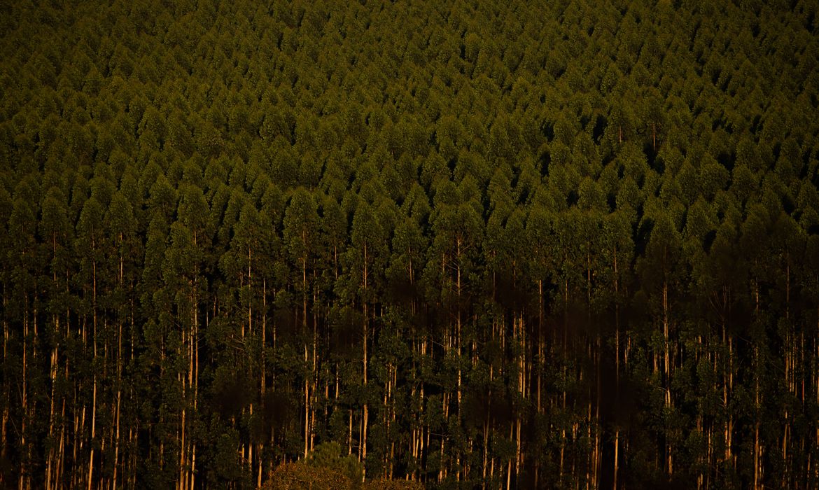 Foto: Agência Brasil - EBC