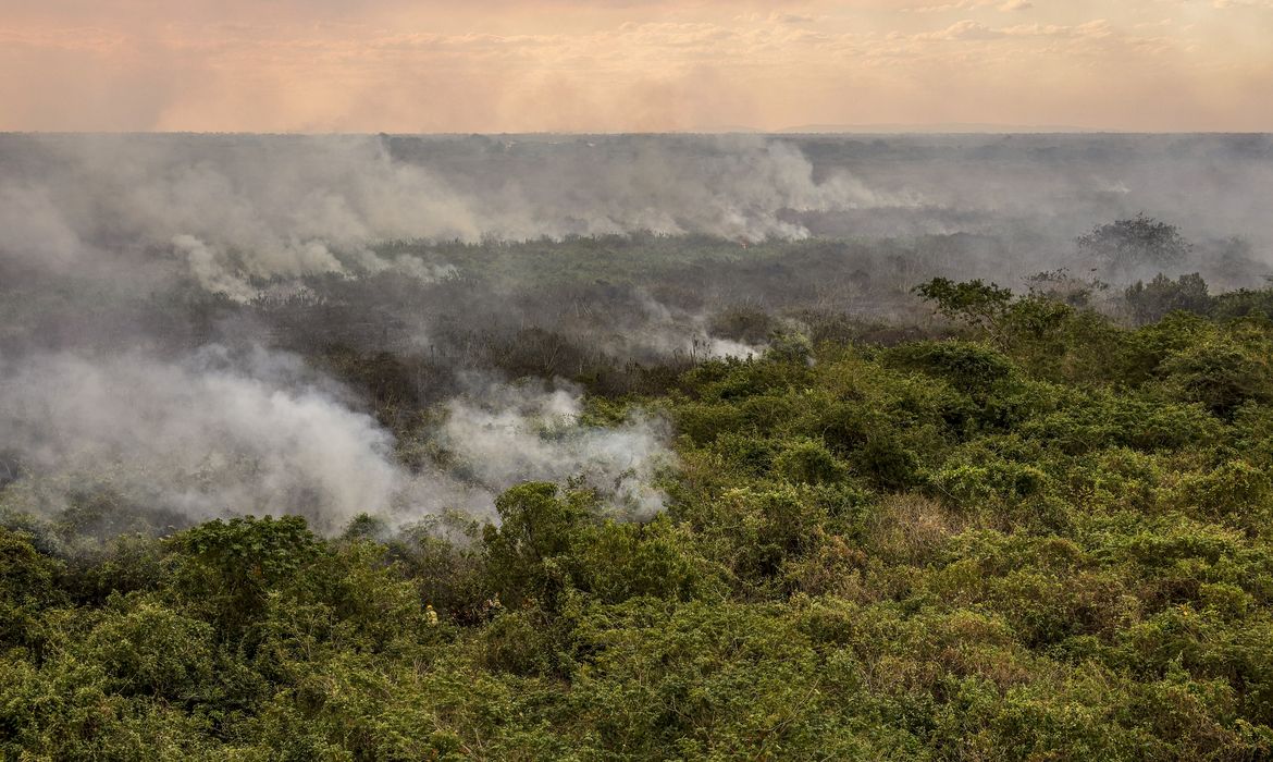 Foto: Agência Brasil - EBC