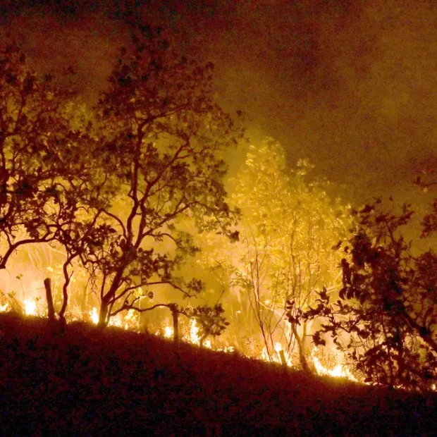 Foto: Jornal de Brasília