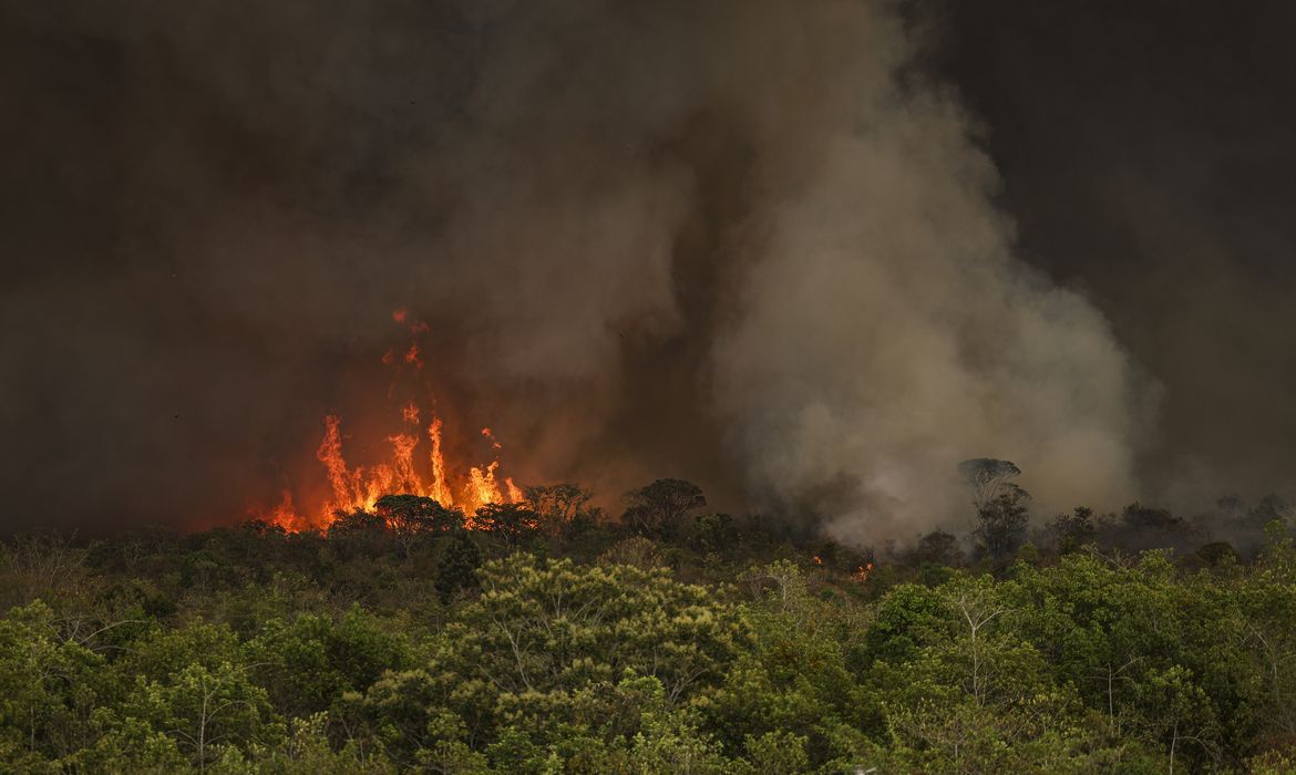 Foto: Agência Brasil - EBC