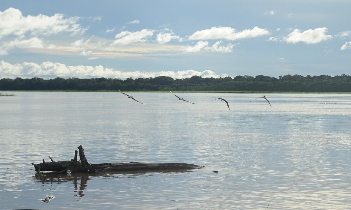 Foto: Agência Brasil - EBC