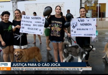 Foto: G1 - Globo