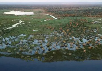 Foto: Jornal de Brasília