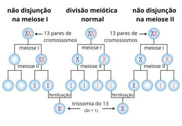 Foto: Brasil Escola - UOL