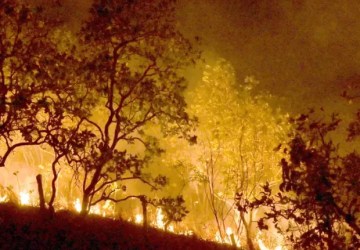 Foto: Jornal de Brasília