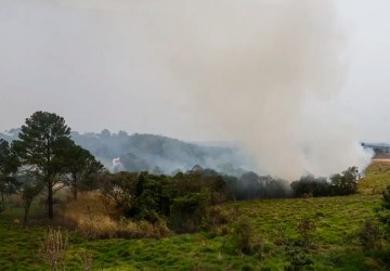 Foto: Agência Brasil - EBC