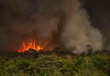 Foto: Agência Brasil - EBC