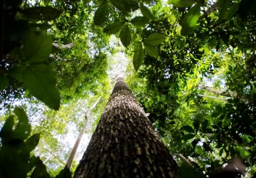 Foto: Agência Brasil - EBC