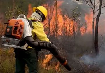 Foto: Agência Brasil - EBC